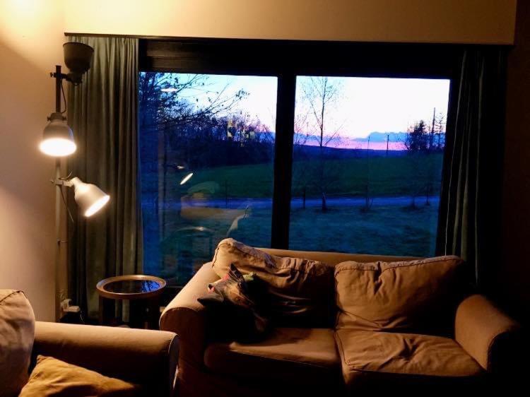 Bungalow Rochehaut Au Calme Екстер'єр фото